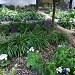 에스파냐 기행 2일차(4) : [덤] Flowers in Alcazar of Cordoba